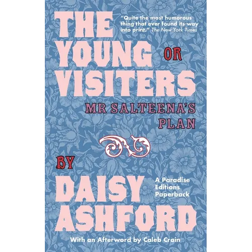 The Young Visiters: Or Mr Salteena's Plan - Paperback