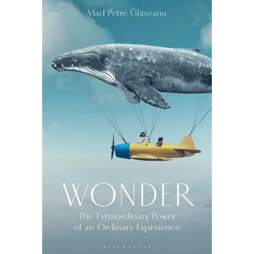 Wonder: The Extraordinary Power of an Ordinary Experience - Paperback