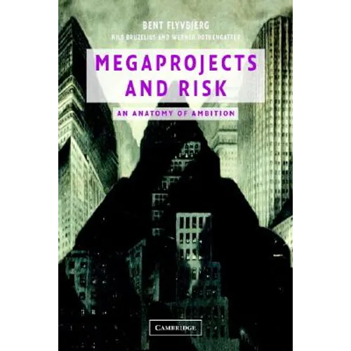 Megaprojects and Risk - Paperback