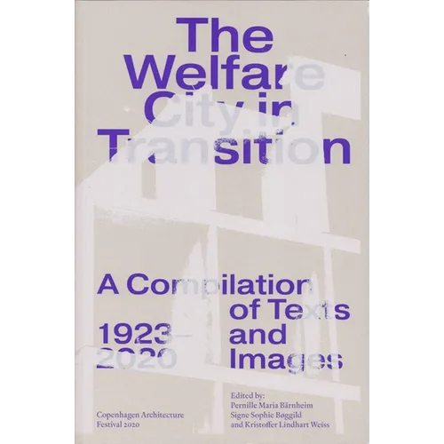 The Welfare City in Transition - Paperback