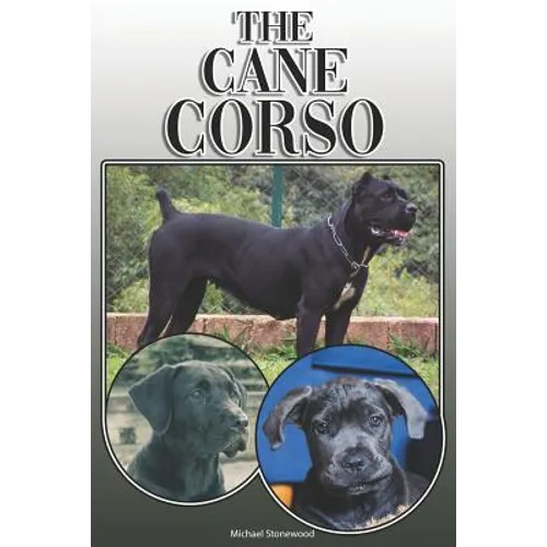 The Cane Corso: A Complete and Comprehensive Owners Guide To: Buying, Owning, Health, Grooming, Training, Obedience, Understanding and - Paperback