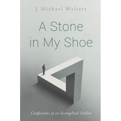 A Stone in My Shoe: Confessions of an Evangelical Outlier - Paperback