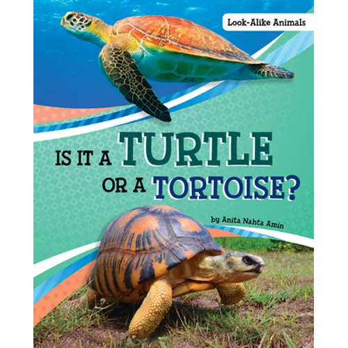 Is It a Turtle or a Tortoise? - Hardcover