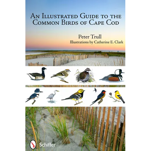 An Illustrated Guide to the Common Birds of Cape Cod - Paperback