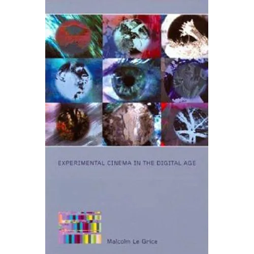 Experimental Cinema in the Digital Age - Paperback