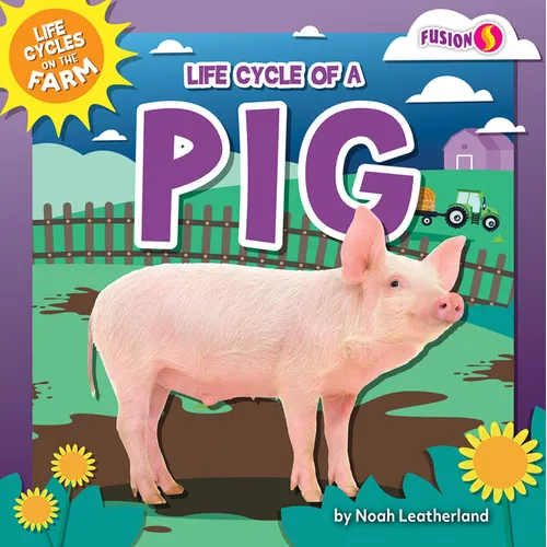 Life Cycle of a Pig - Paperback