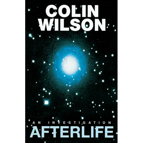 Afterlife: An Investigation - Paperback