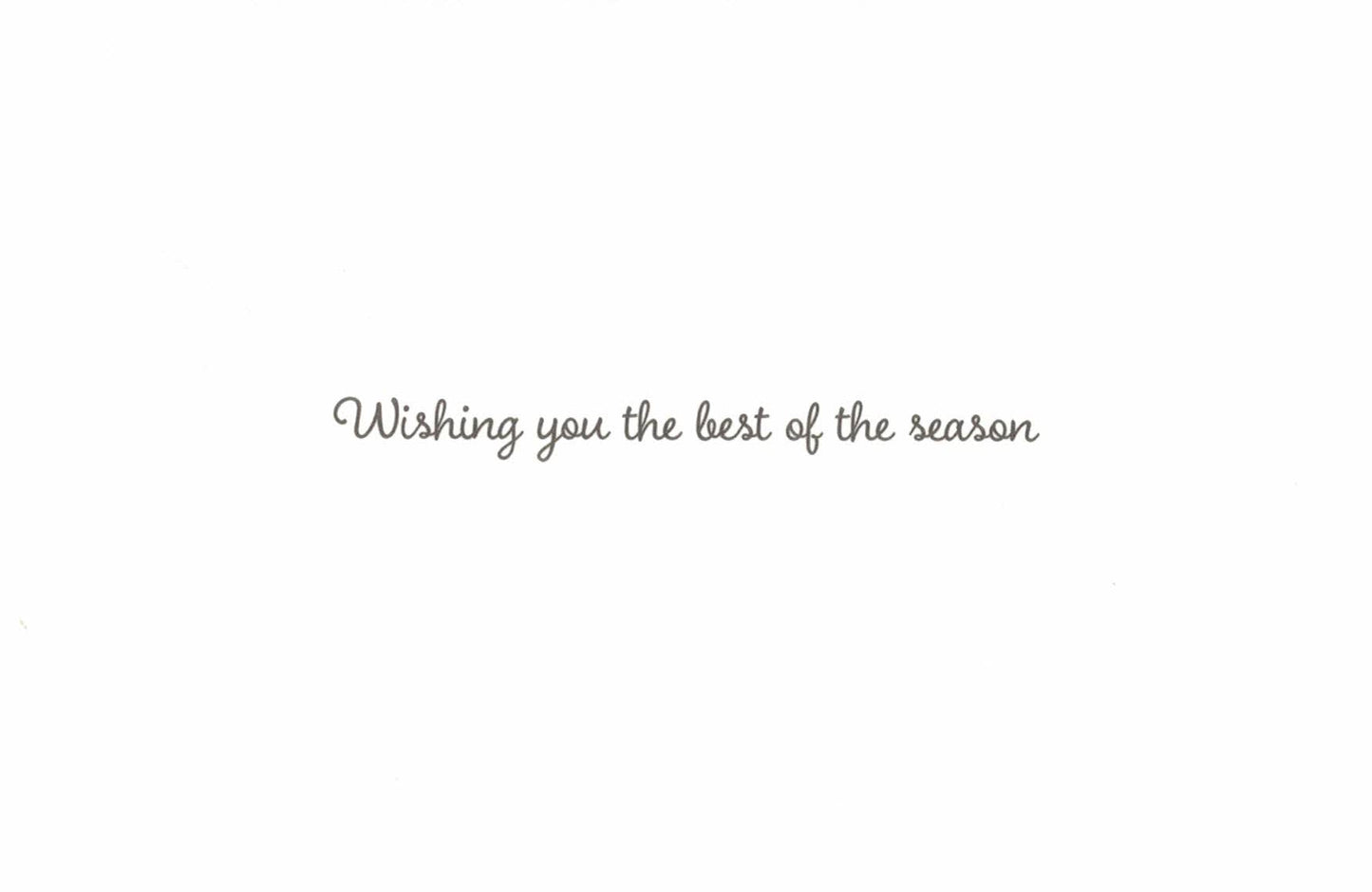 Elegant Boxed Cards - Christmas Floral