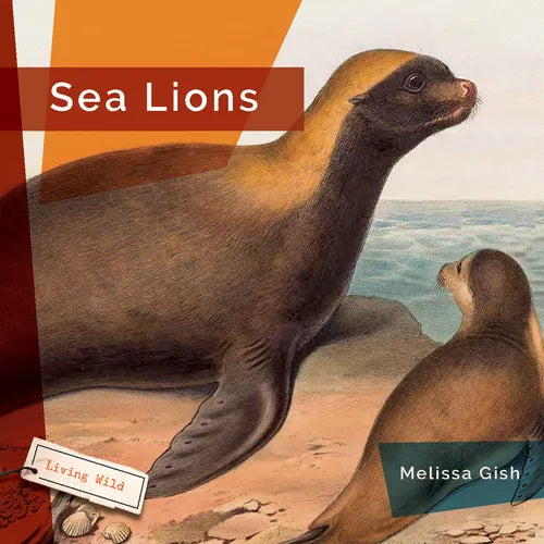 Sea Lions - Library Binding