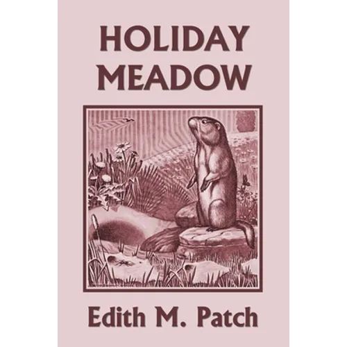 Holiday Meadow (Yesterday's Classics) - Paperback
