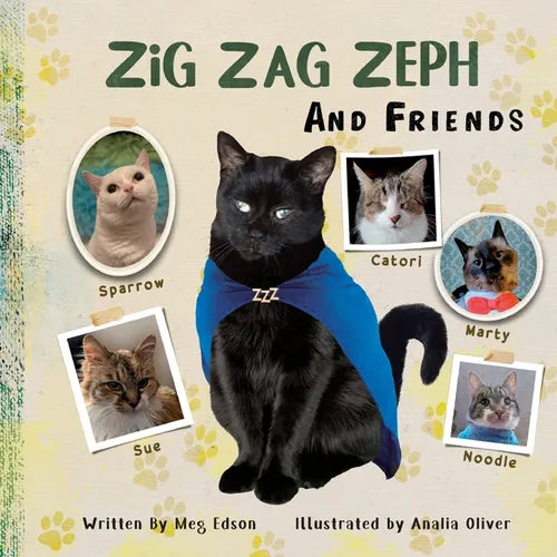 Zig Zag Zeph and Friends - Paperback