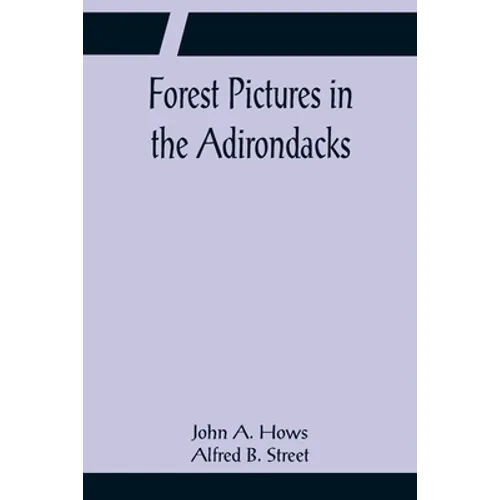 Forest Pictures in the Adirondacks - Paperback