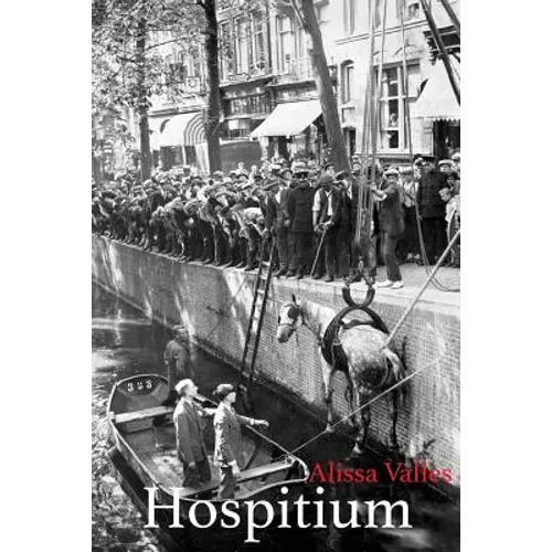 Hospitium - Paperback