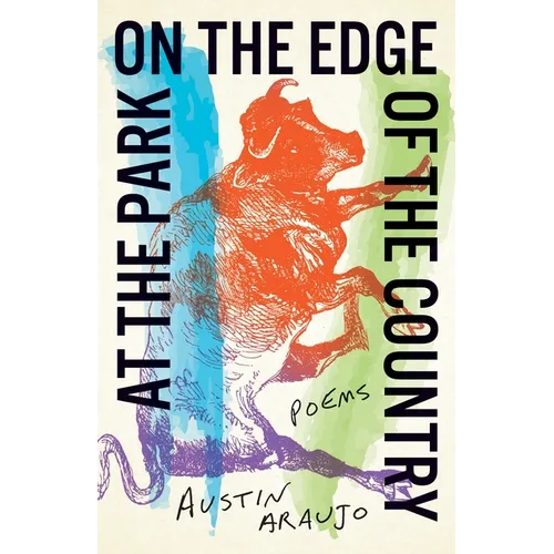 At the Park on the Edge of the Country: Poems - Paperback