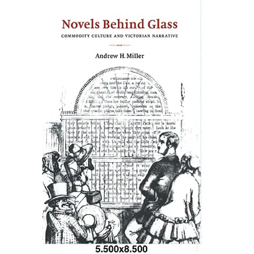 Novels Behind Glass: Commodity Culture and Victorian Narrative - Paperback