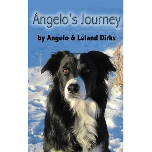 Angelo's Journey: A Border Collie's Quest for Home - Paperback