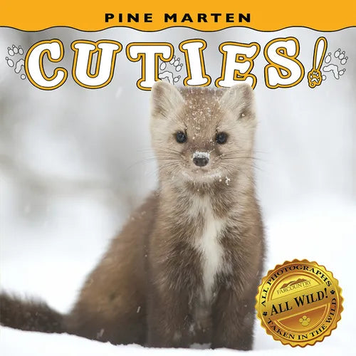 Pine Marten Cuties! - Board Book