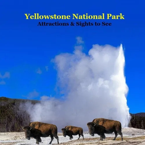Yellowstone Park Attractions and Sights to See Kids Book: Great Book for kids about Yellowstone National Park - Paperback