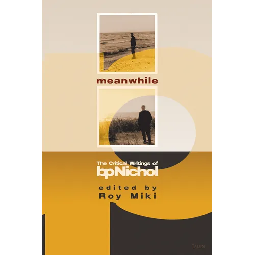 Meanwhile: The Critical Writings of Bpnichol - Paperback