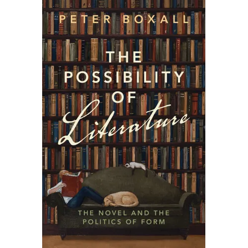 The Possibility of Literature: The Novel and the Politics of Form - Hardcover
