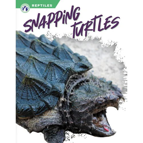 Snapping Turtles - Paperback