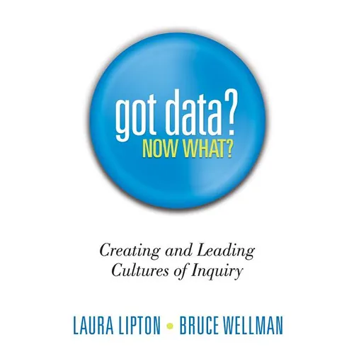 Got Data? Now What?: Creating and Leading Cultures of Inquiry - Paperback