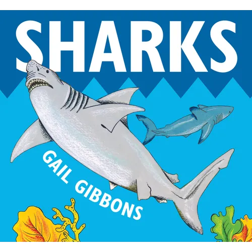 Sharks - Board Book