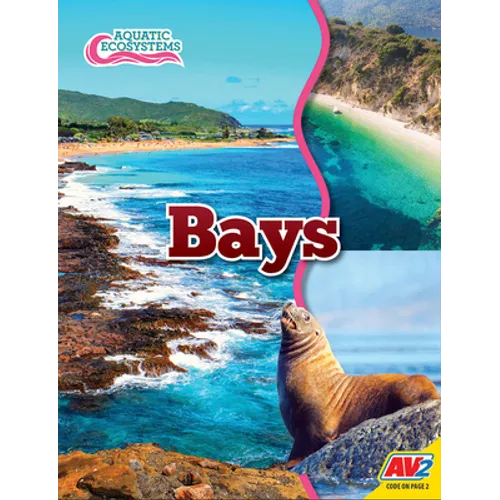 Bays - Library Binding