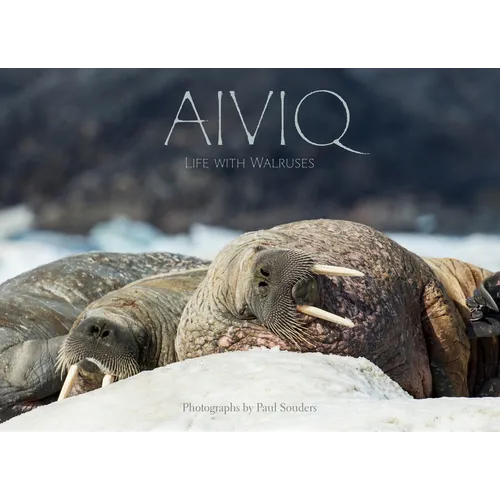 Aiviq: Life with Walruses - Hardcover