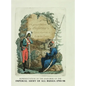 Representation of the Uniforms of the Imperial Army of All Russia 1790-98: Representation des Uniforms de L'armee Imperiale de toutes les Russies - Hardcover