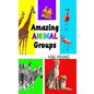 Amazing Animal Groups: A Fun Exploration of Nature LARGE PRINT: A Fun Exploration of Nature - Hardcover