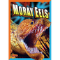 Moray Eels - Library Binding