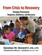From Crisis to Recovery: Strategic Planning for Response, Resilience, and Recovery - Paperback