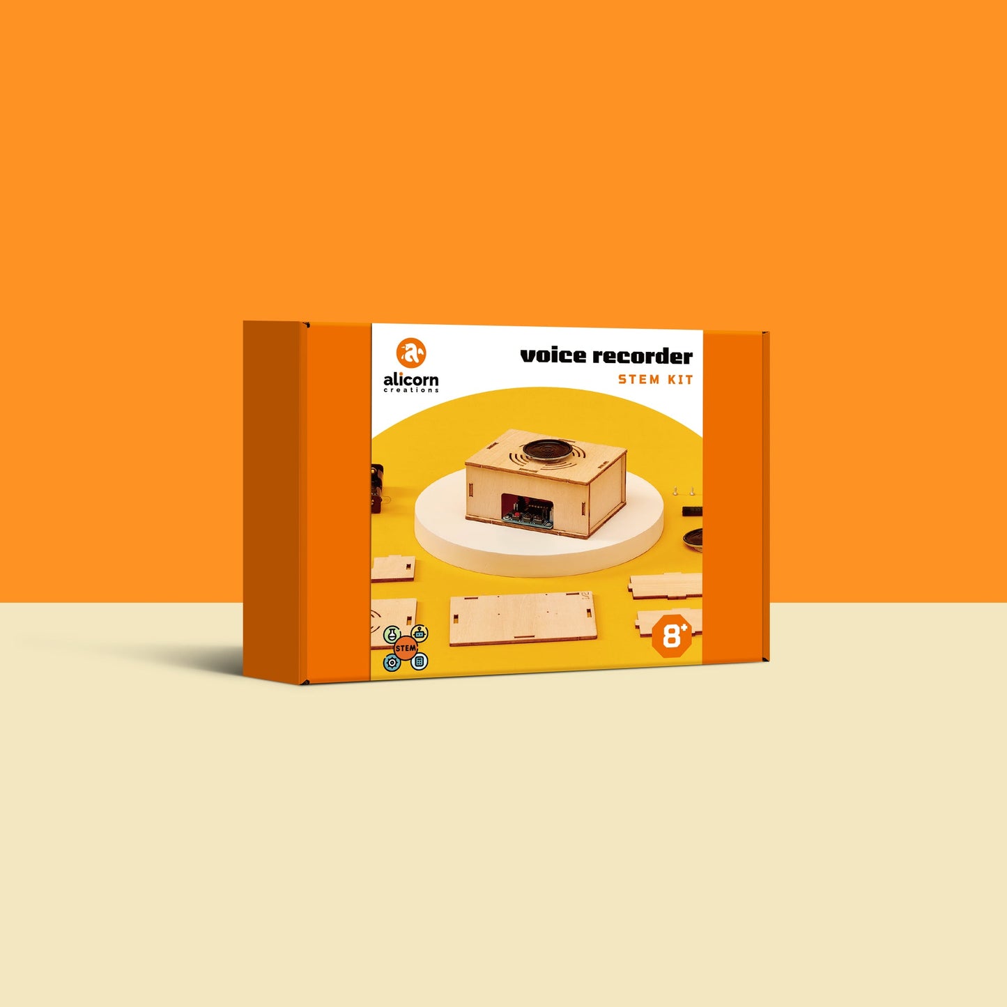 Voice Recorder DIY Kit, Educational STEM Toy