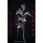 Orchids of Lesvos - Paperback