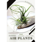 Air plants: Prodigy Petal, Plant Guide - Paperback