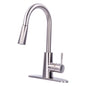 Tehila Stainless Steel Finish High-Arc Pull-Down Faucet