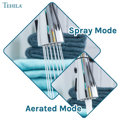 Tehila Chrome Finish Low Profile Pull-Down Faucet