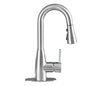 Tehila Stainless Steel Finish Low Profile Pull-Down Faucet