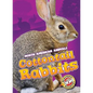 Cottontail Rabbits - Library Binding
