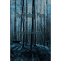 The Fading Place - Paperback