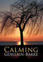 Calming Guillain-Barre - Hardcover