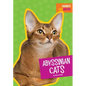 Abyssinian Cats - Library Binding
