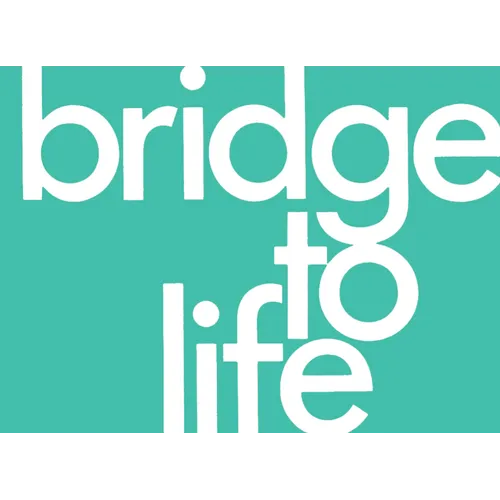 Bridge to Life (Green) 25-Pack - Paperback
