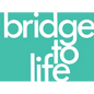 Bridge to Life (Green) 25-Pack - Paperback