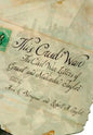 This Cruel War: The Civil War Letters of Grant and Malinda Taylor - Hardcover