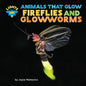 Fireflies and Glowworms - Library Binding