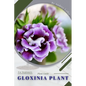 Gloxinia Plant: Plant Guide - Paperback