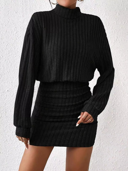 Ribbed Turtleneck Long Sleeve Sweater Dress