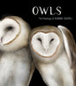Owls: The Paintings of Jeannine Chappell - Hardcover
